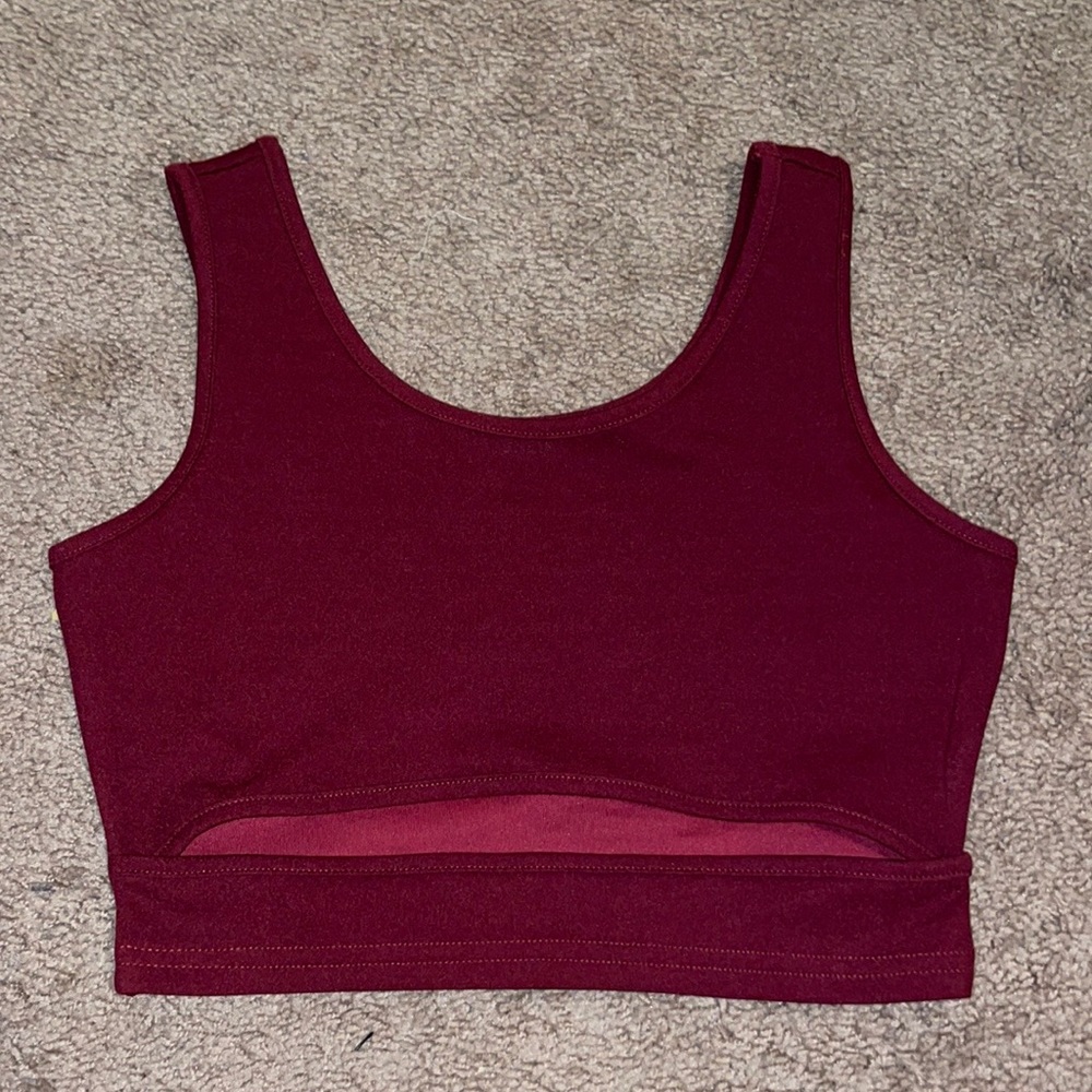Shein Burgendy Crop Top